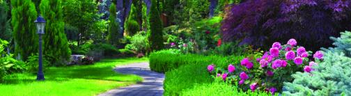 CI008-GARDEN PATH