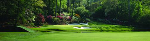 CI011-GOLF COURSE