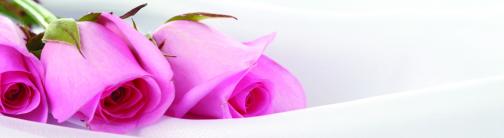 CI012-ROSES ON SILK