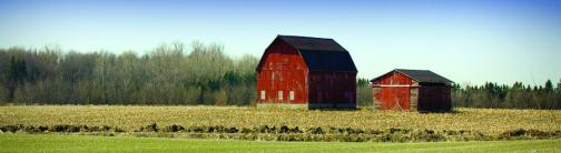 CI020-RED BARNS