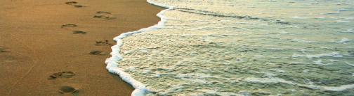 CI031-FOOTPRINTS PLAIN
