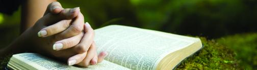 CI050-WOMANS HANDS ON BIBLE