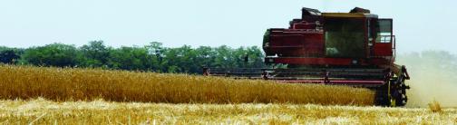 CI060-WHEAT COMBINE