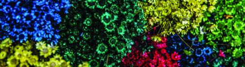 CI074-RAINBOW FLOWERS