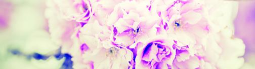 CI075-SOFT PINK FLOWERS
